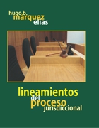 Lineamientos del proceso jurisdiccional